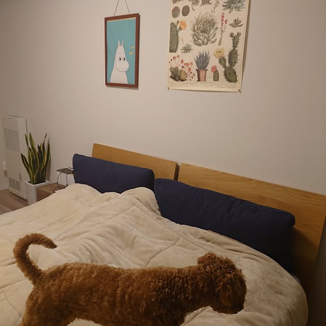 yukiさんの部屋
