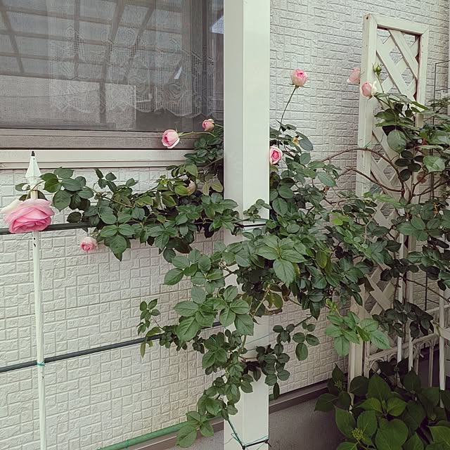 Bienvenueさんの部屋