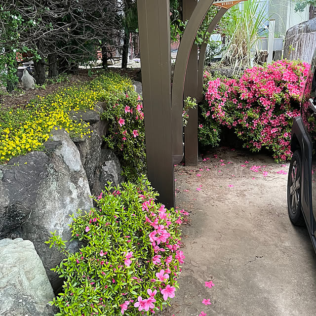 shin0719さんの部屋