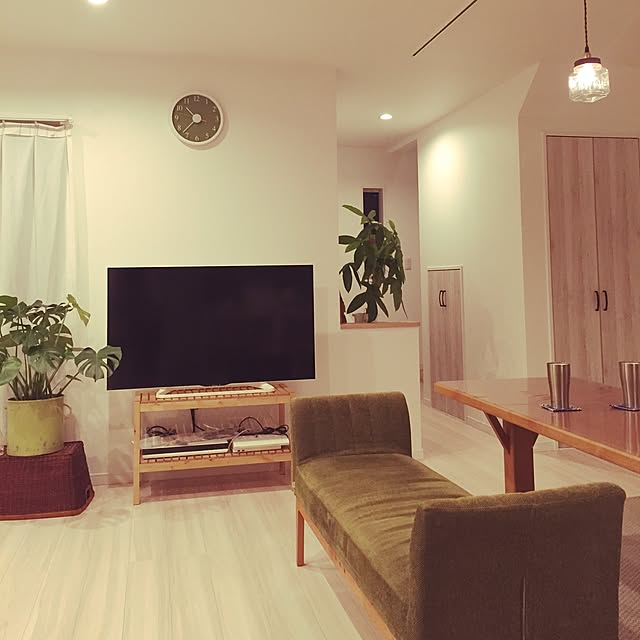 部屋全体/観葉植物のインテリア実例 - 2015-08-23 17:51:00