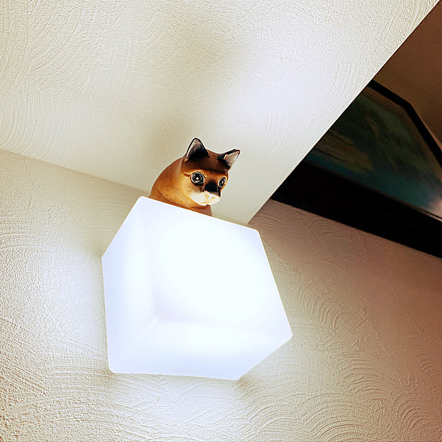 bambiさんの実例写真
