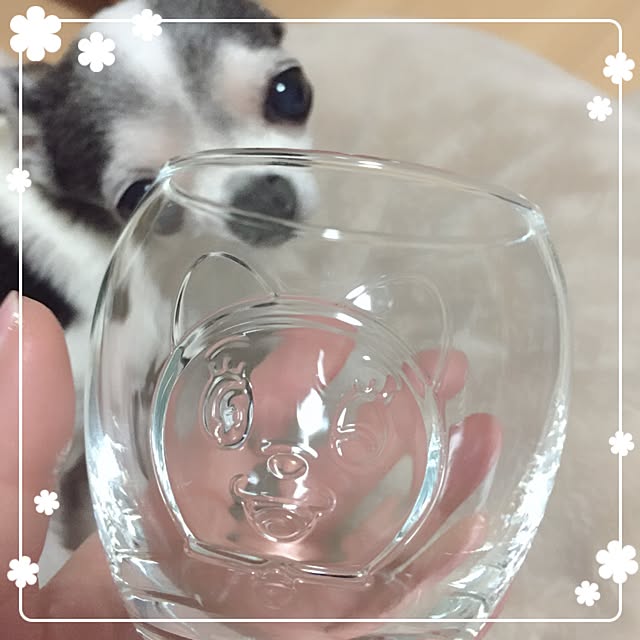 Emiさんの実例写真