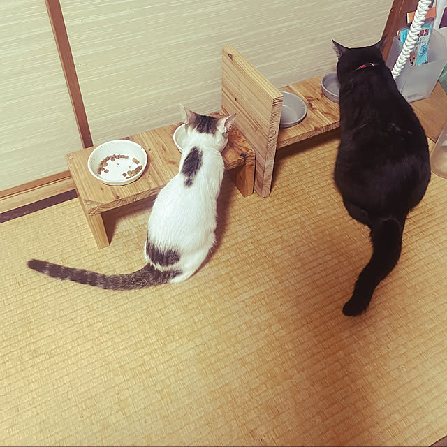 tommysobacさんの実例写真