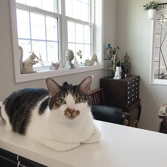 yuchiさんの実例写真