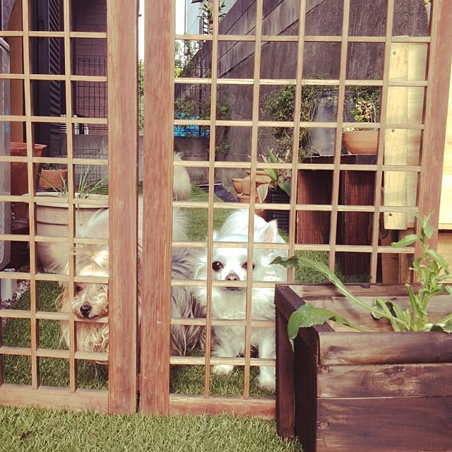 Naokoさんの実例写真