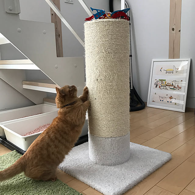 Aさんの実例写真