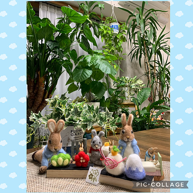 Aqettyさんの実例写真