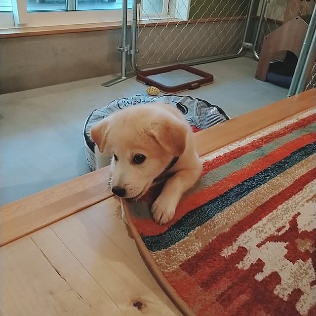 sawa.co.さんの実例写真