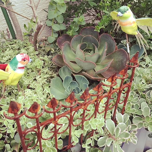 zappa_968さんの実例写真
