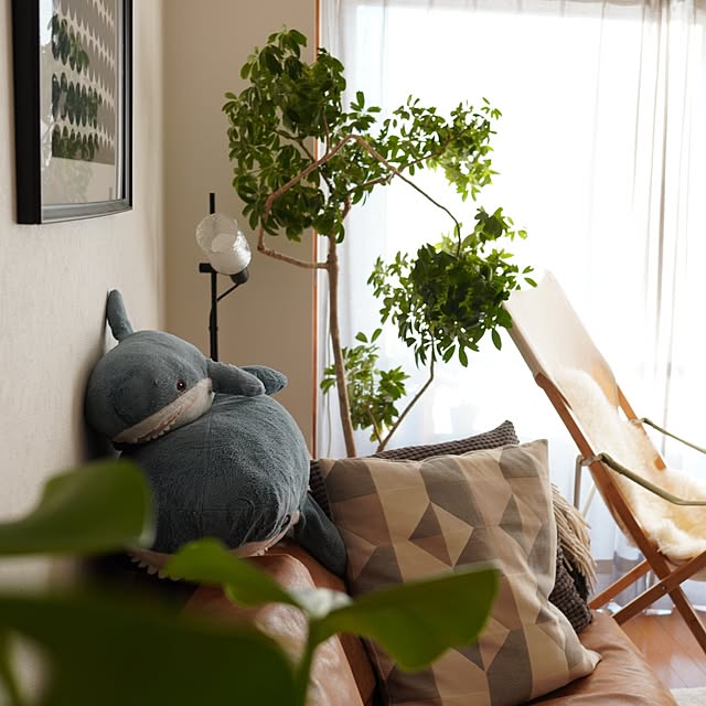 rinotさんの実例写真