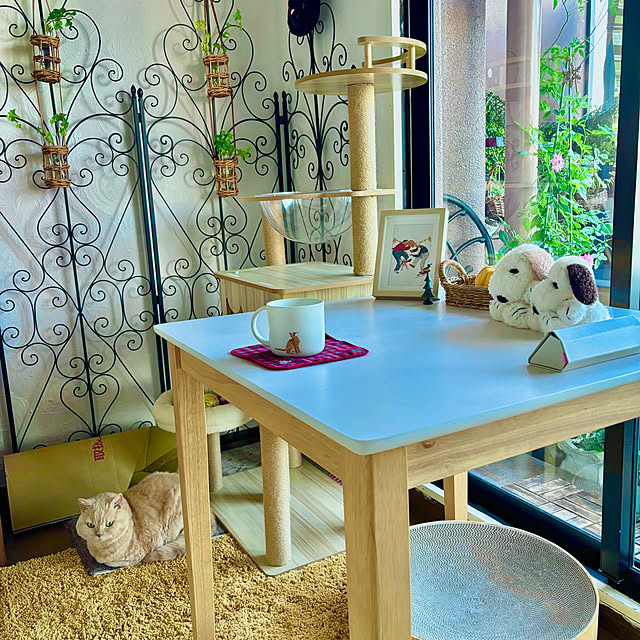 naokoさんの部屋