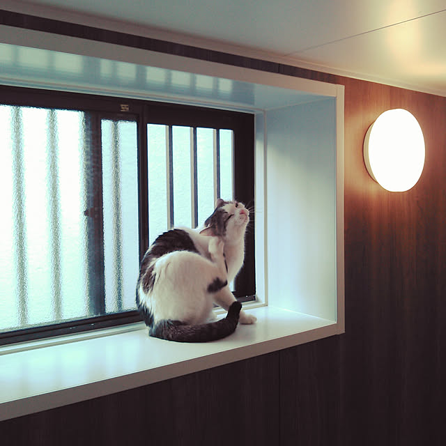 amelliaさんの実例写真