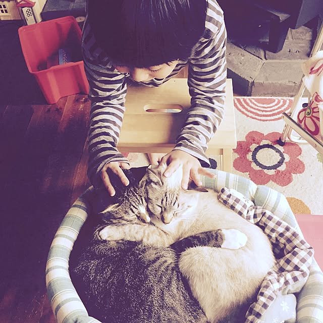 tsukiyuzuさんの実例写真