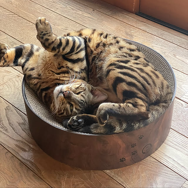 kabu10さんの実例写真