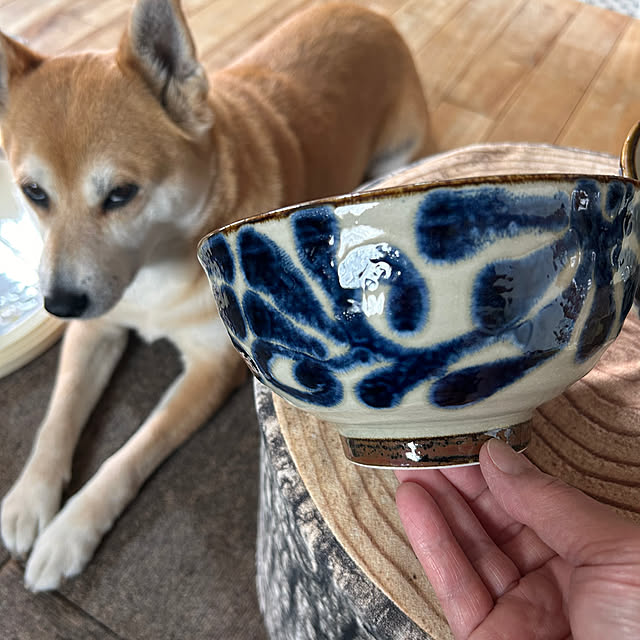 okadajapanさんの実例写真