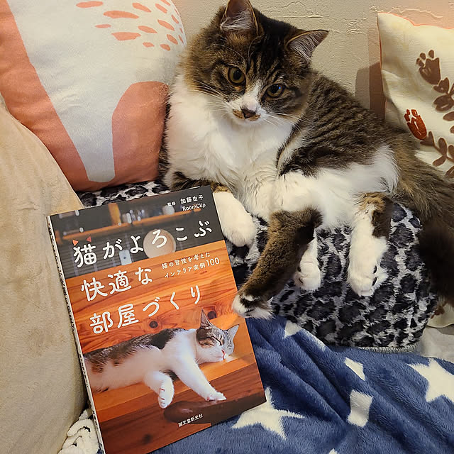 yumiさんの実例写真