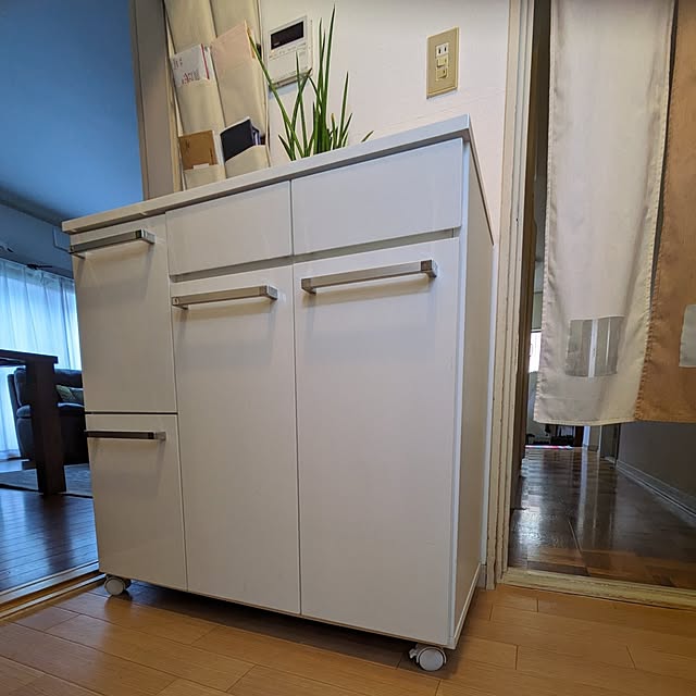 Renさんの実例写真