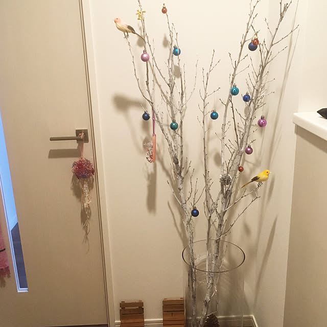 Sanaeさんの実例写真