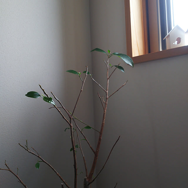poemwalkさんの実例写真