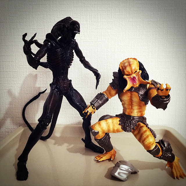 lenkaさんの実例写真