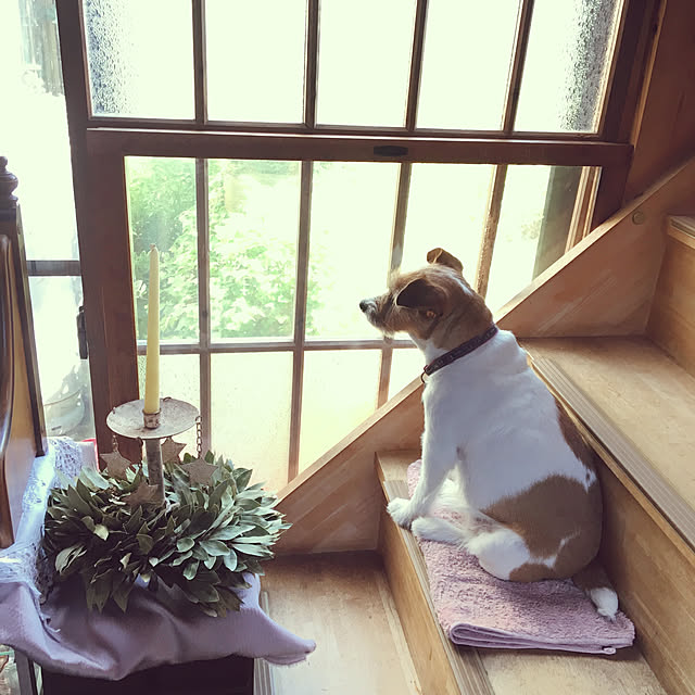 20rose_mamiさんの実例写真