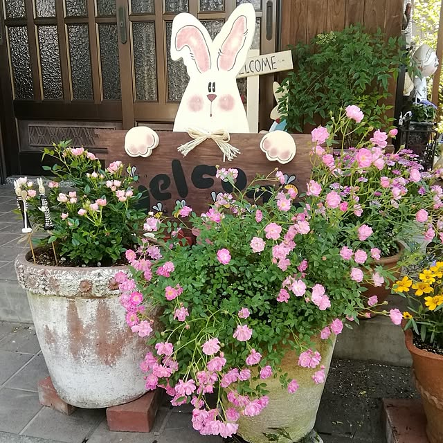 haruiroさんの実例写真