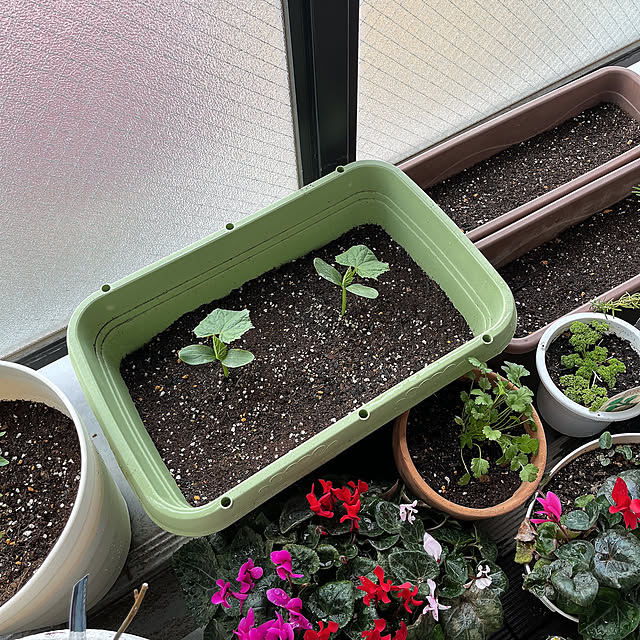 leonさんの実例写真