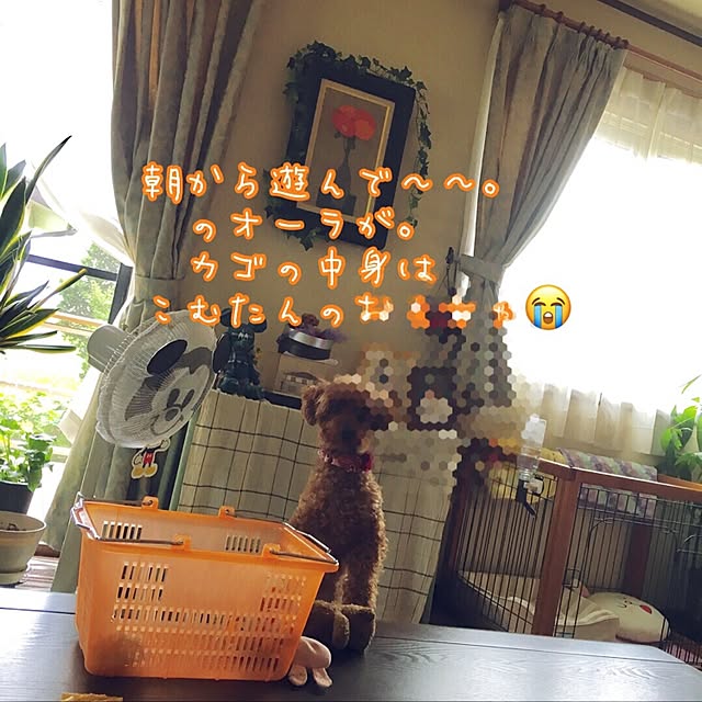 MIYUさんの実例写真