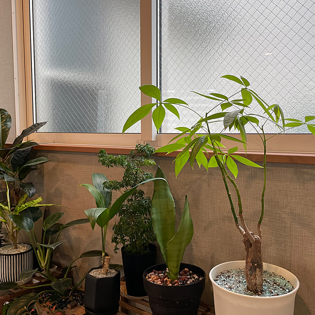 ikuzakさんの部屋