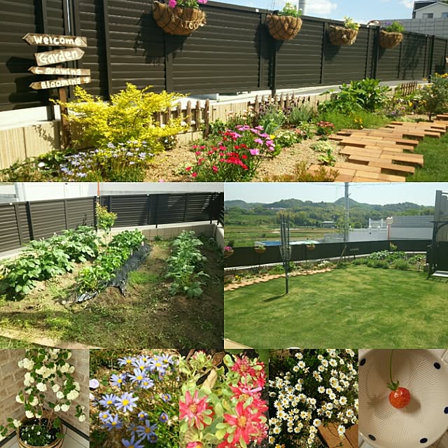 TandFさんの実例写真