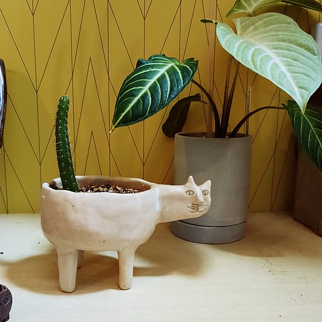 hiroさんの実例写真