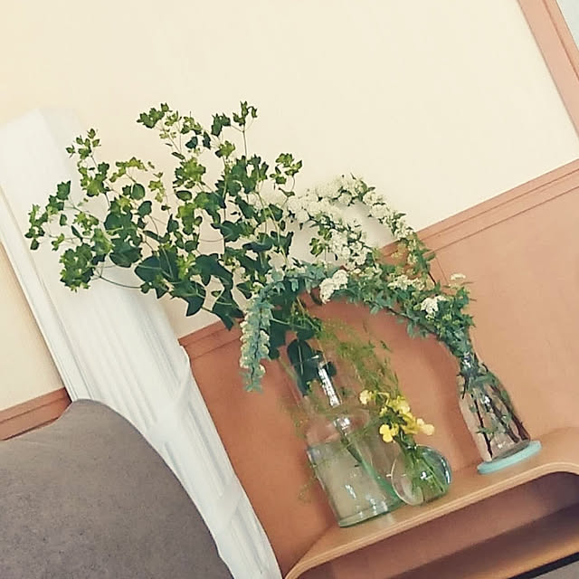 リビング/観葉植物のインテリア実例 - 2019-04-26 12:54:48