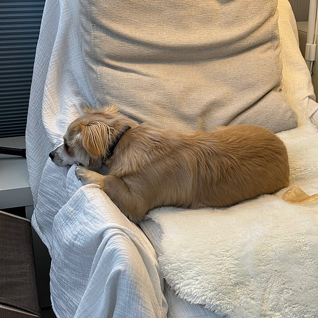 Rainyさんの部屋