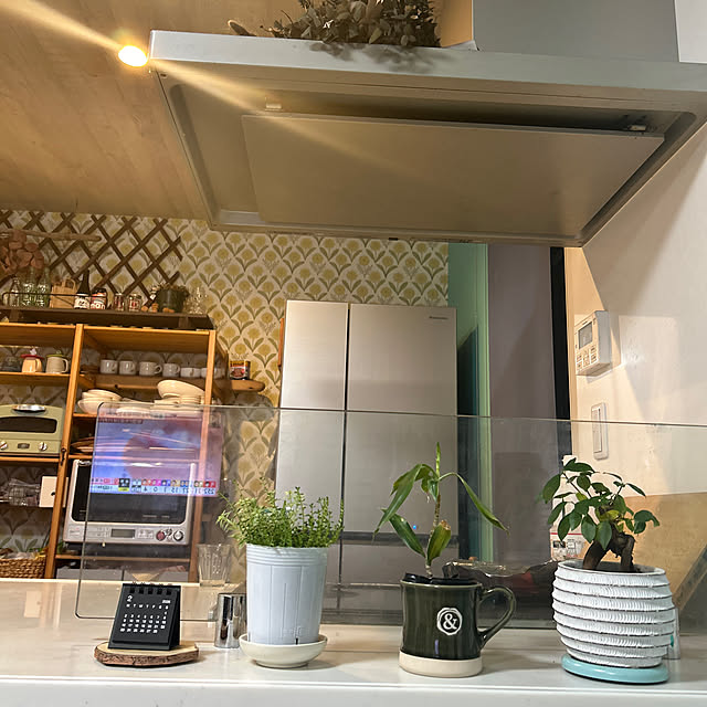 Yukoさんの実例写真