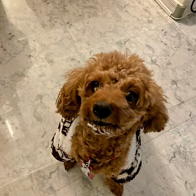 MOMOMAMAさんの部屋