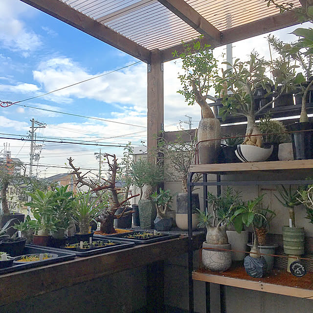 eriさんの実例写真