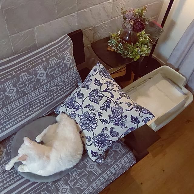 38catさんの実例写真