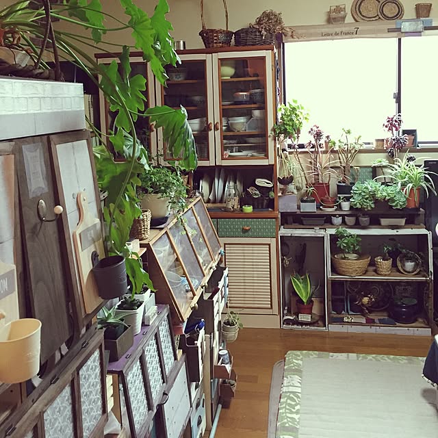 Norikoさんの実例写真