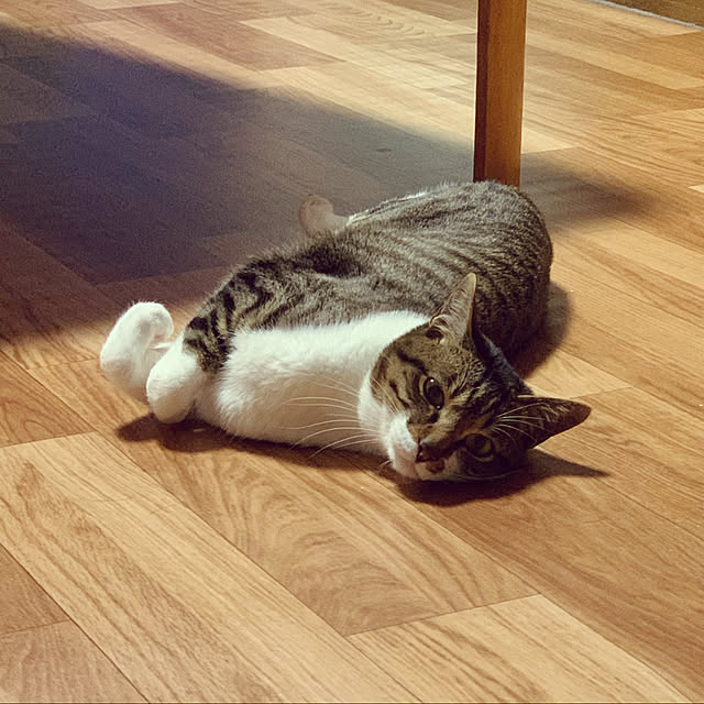 taoさんの実例写真