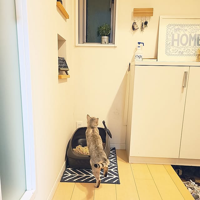 yucocoさんの実例写真