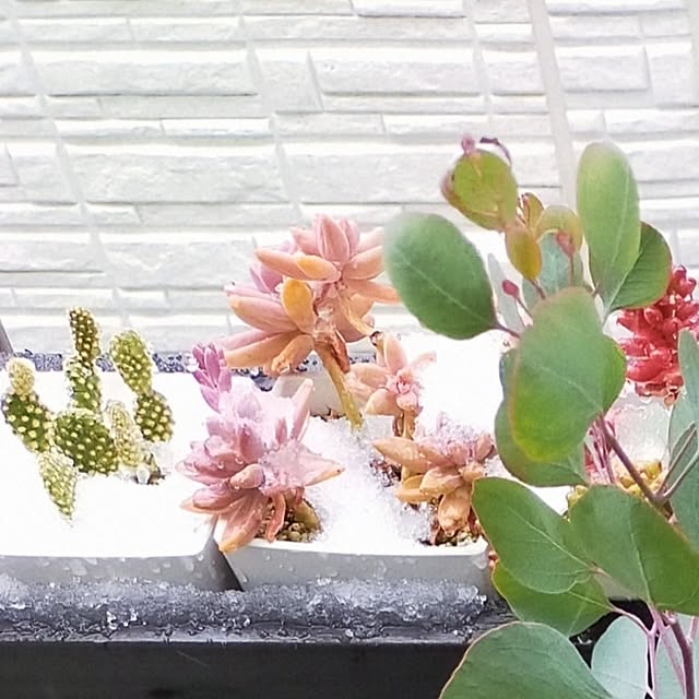 jinさんの部屋
