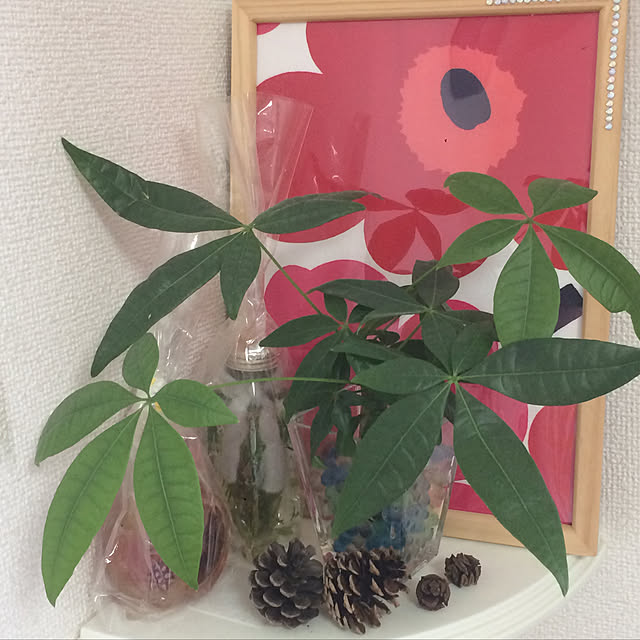 nonteo.0603さんの実例写真