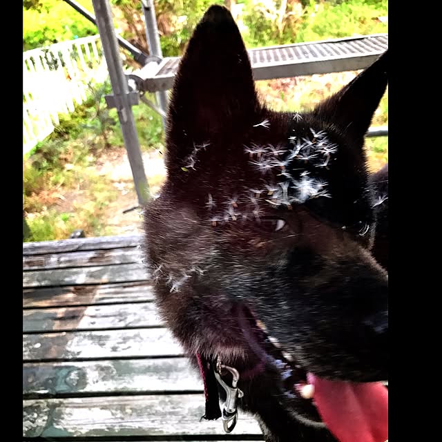 haruさんの実例写真