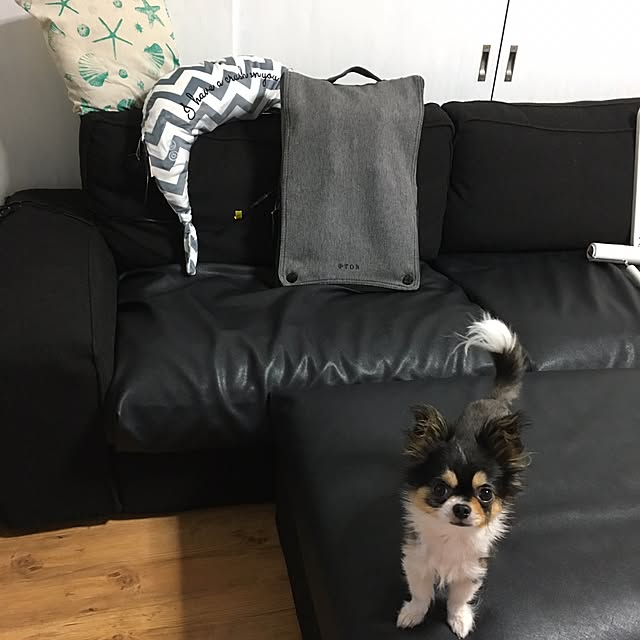 tomoさんの実例写真