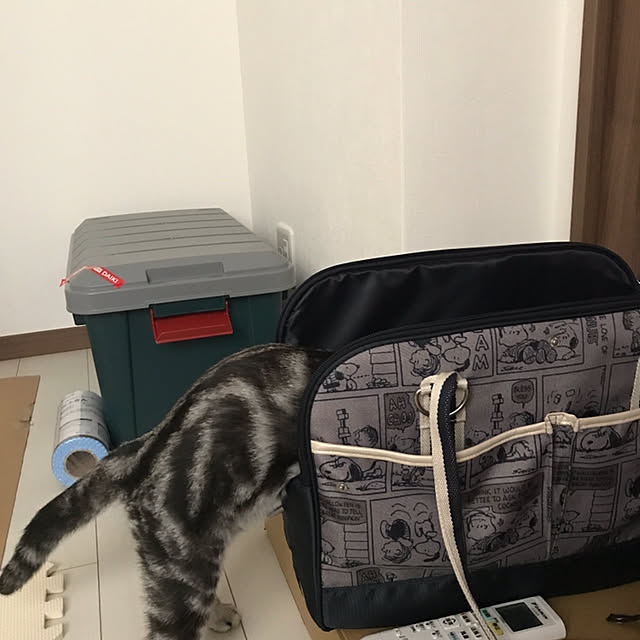 KotarouKunさんの実例写真