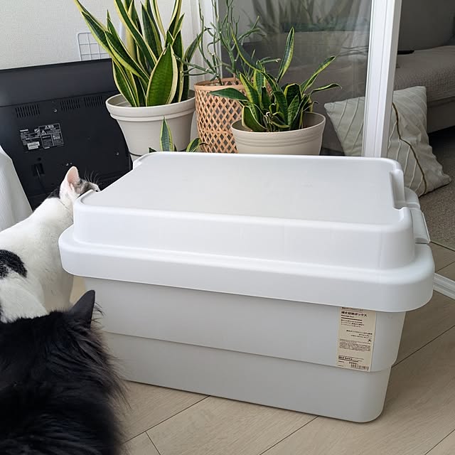 kumiさんの部屋