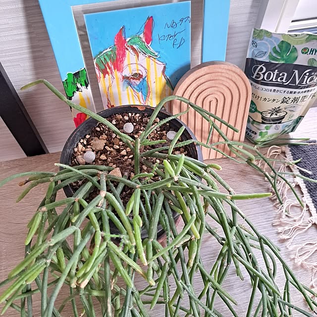 Jijiさんの部屋