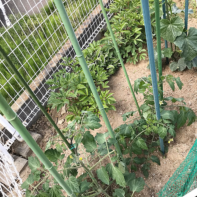rikomiさんの実例写真