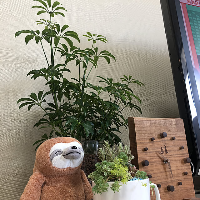rikaaa.s2さんの実例写真