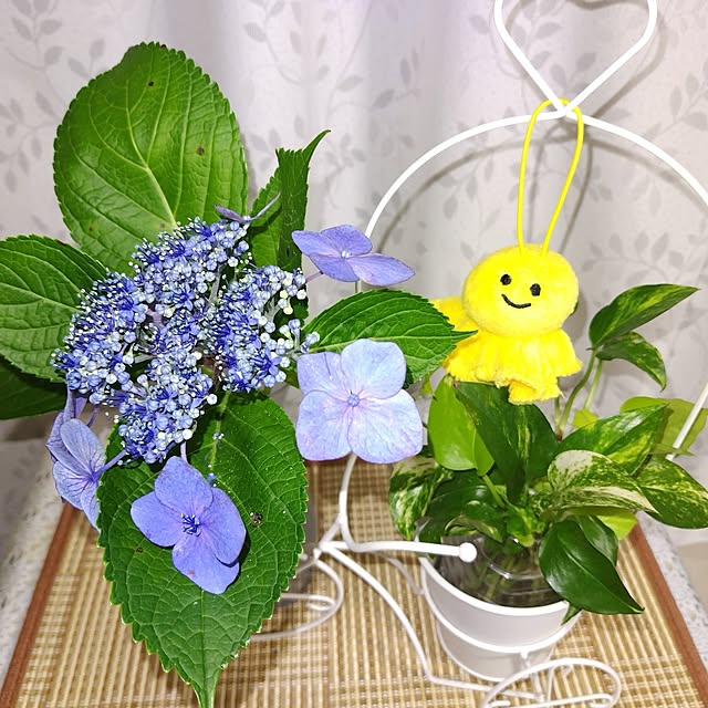 katさんの実例写真
